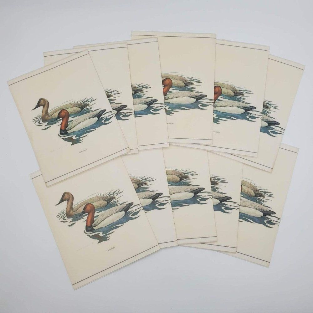Set of 11 Laminated Canvasbacks Duck Prints by Mel Hunter Illustrated